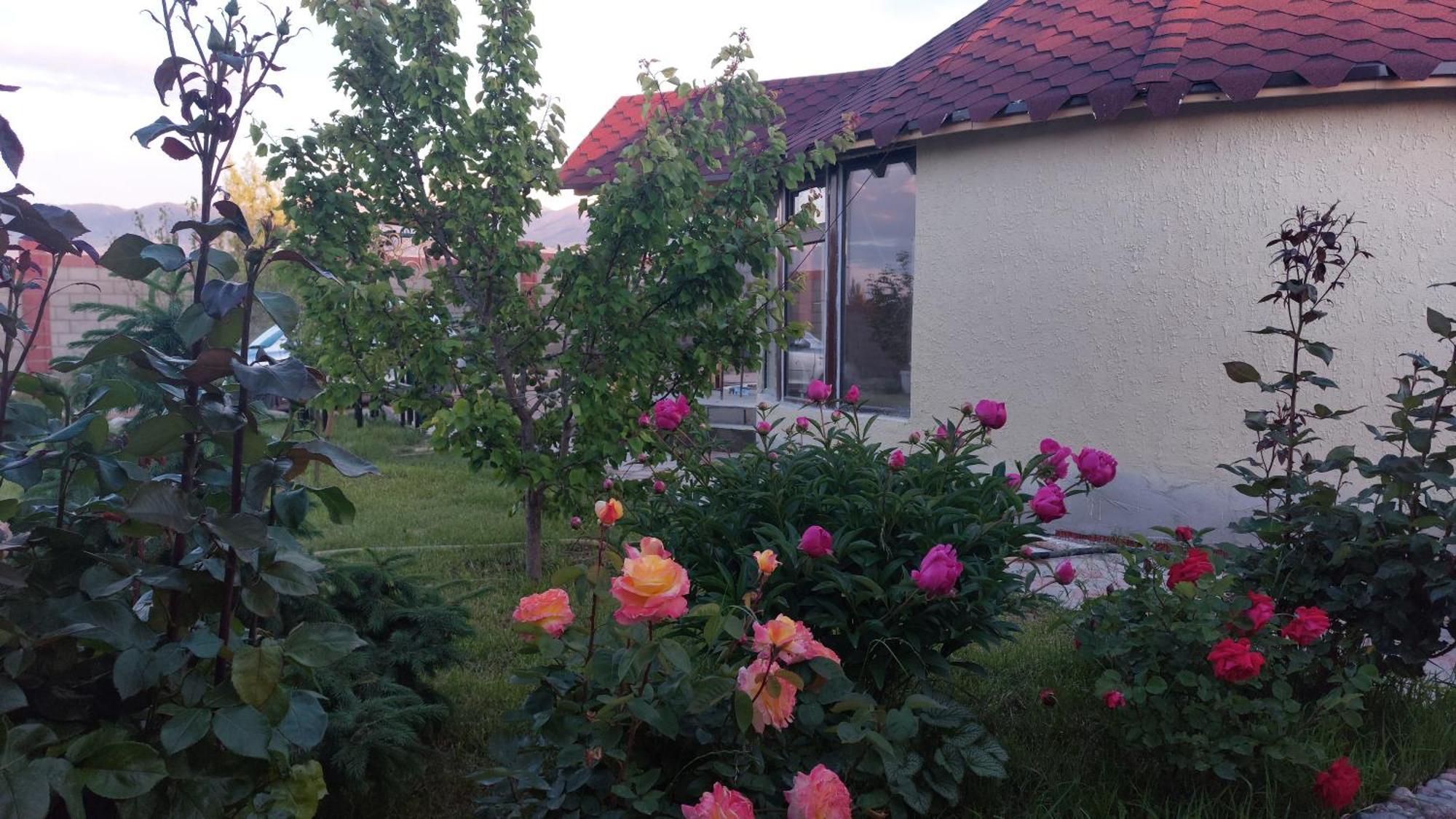 Svetlana Guest House Bokonbayevo المظهر الخارجي الصورة