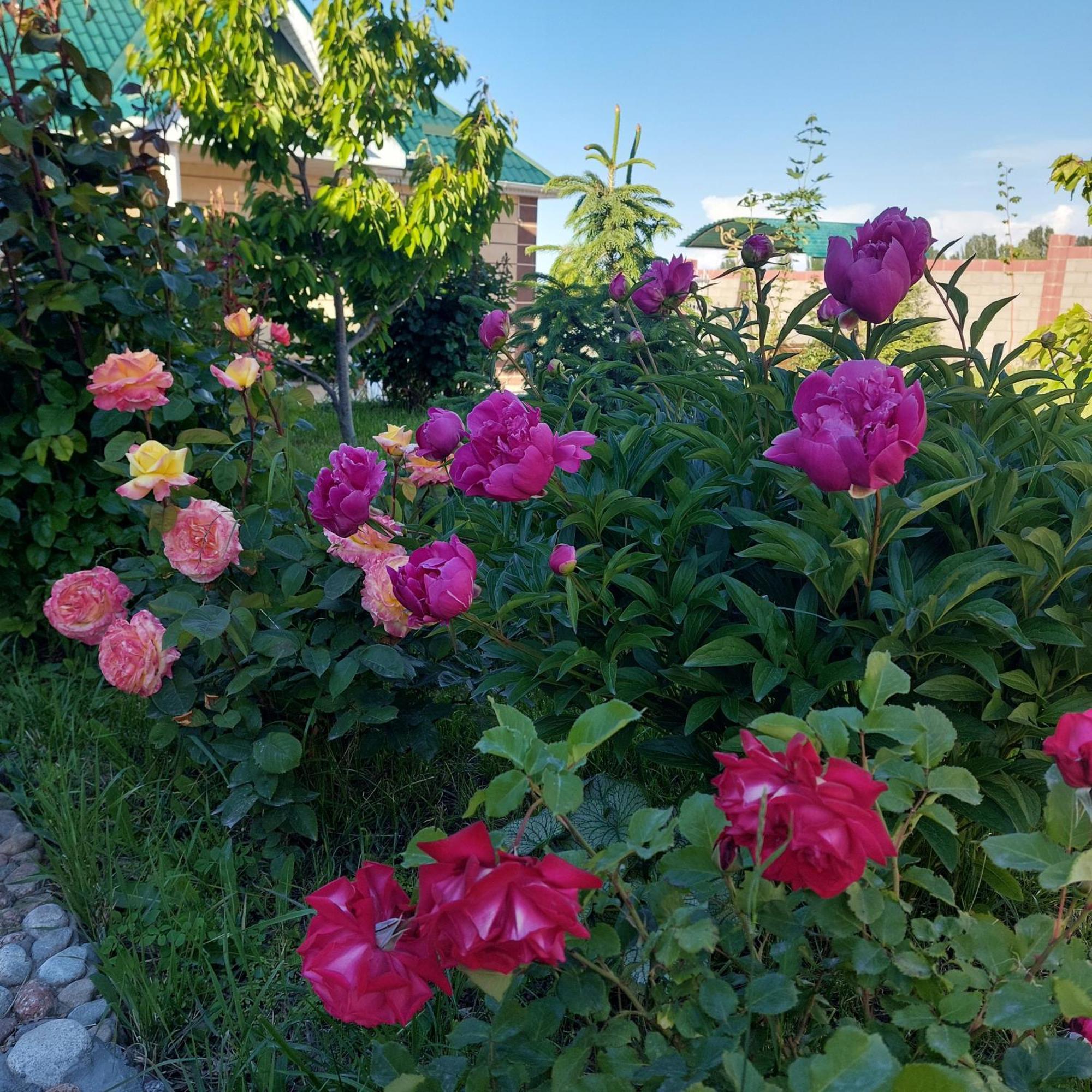 Svetlana Guest House Bokonbayevo المظهر الخارجي الصورة