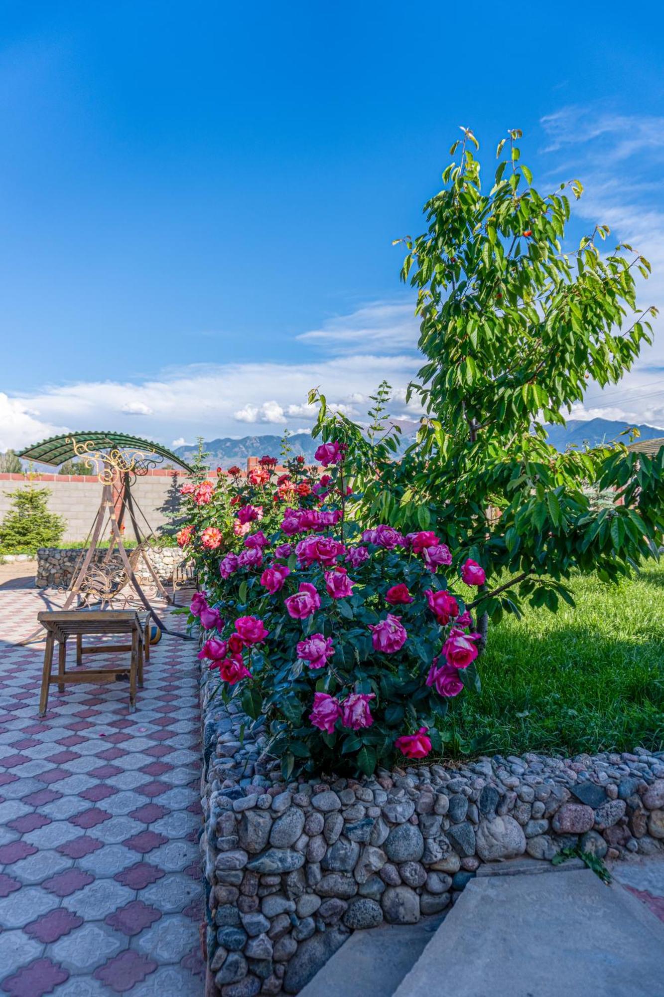 Svetlana Guest House Bokonbayevo المظهر الخارجي الصورة