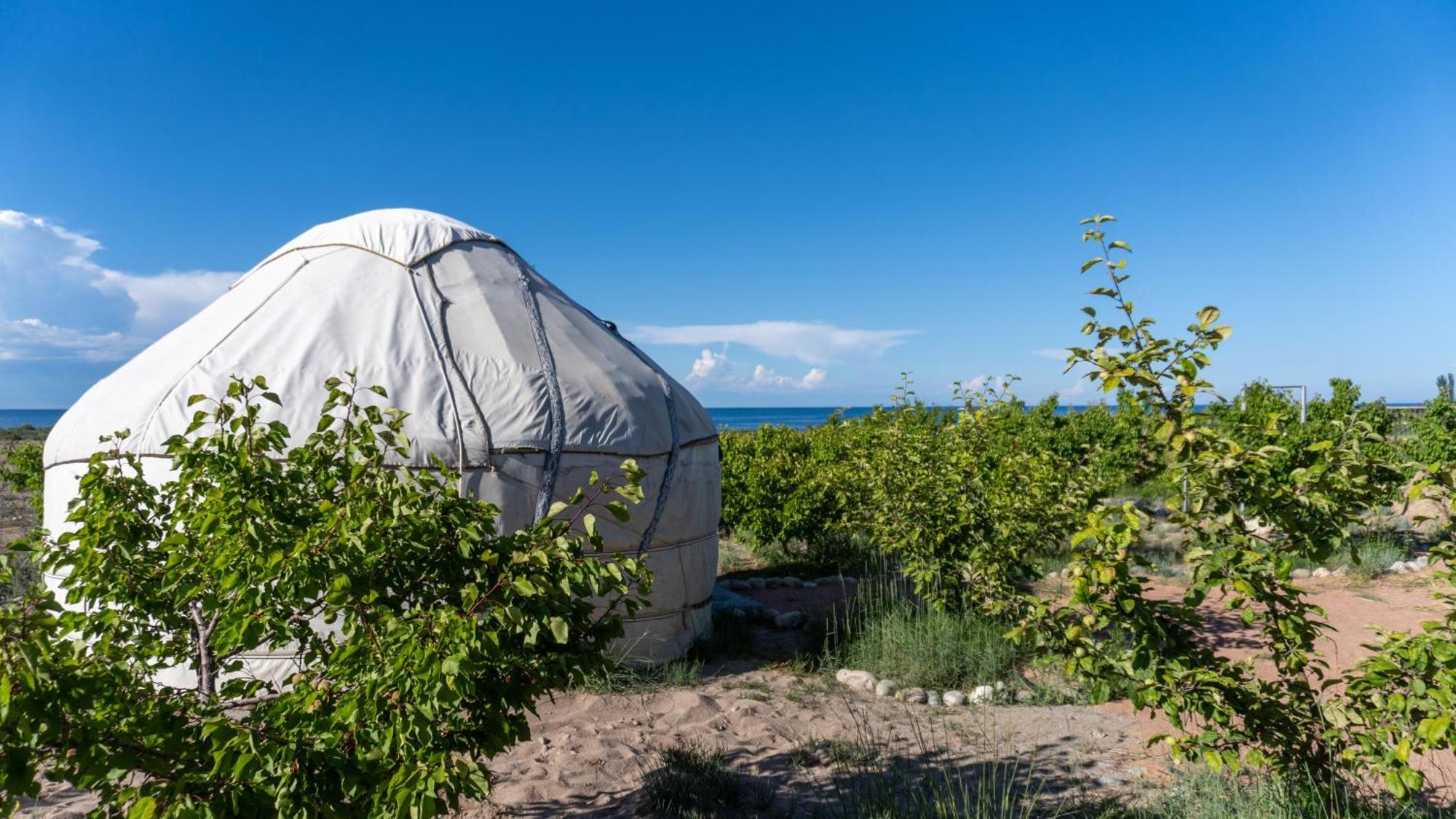Svetlana Guest House Bokonbayevo المظهر الخارجي الصورة