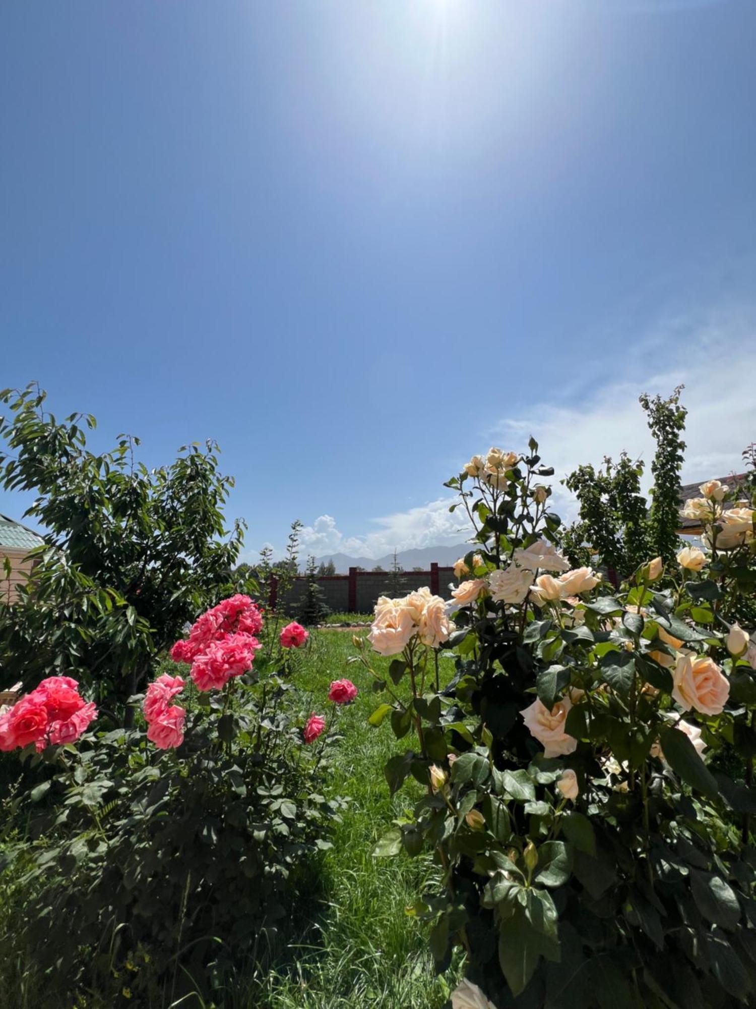 Svetlana Guest House Bokonbayevo المظهر الخارجي الصورة